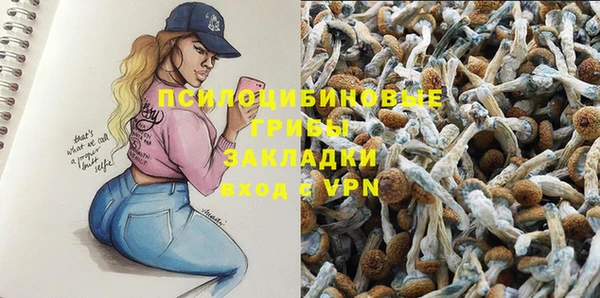метадон Алексин