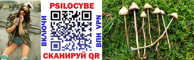 Псилоцибиновые грибы прущие грибы наркошоп Бикин